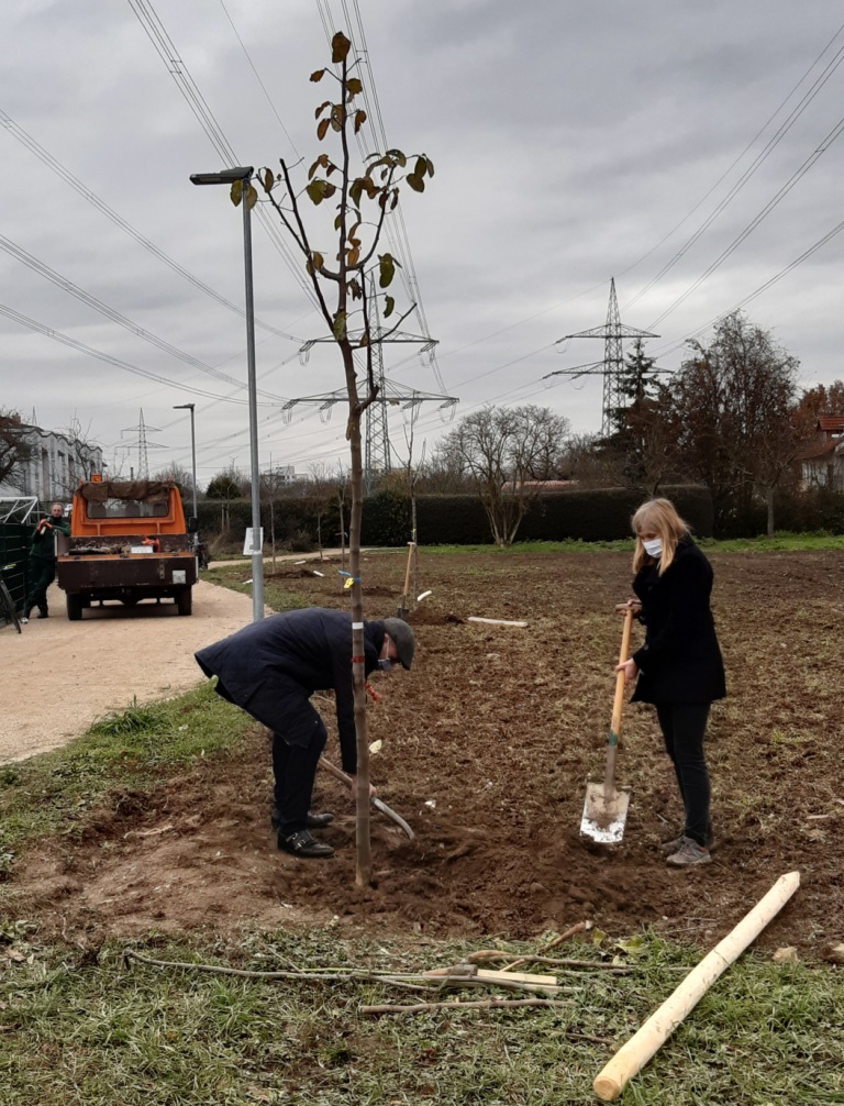  Oberbürgermeister Hans D. Reinwald und Bürgermeisterin Claudia Felden beim Pflanzen eines Obstbaumes 