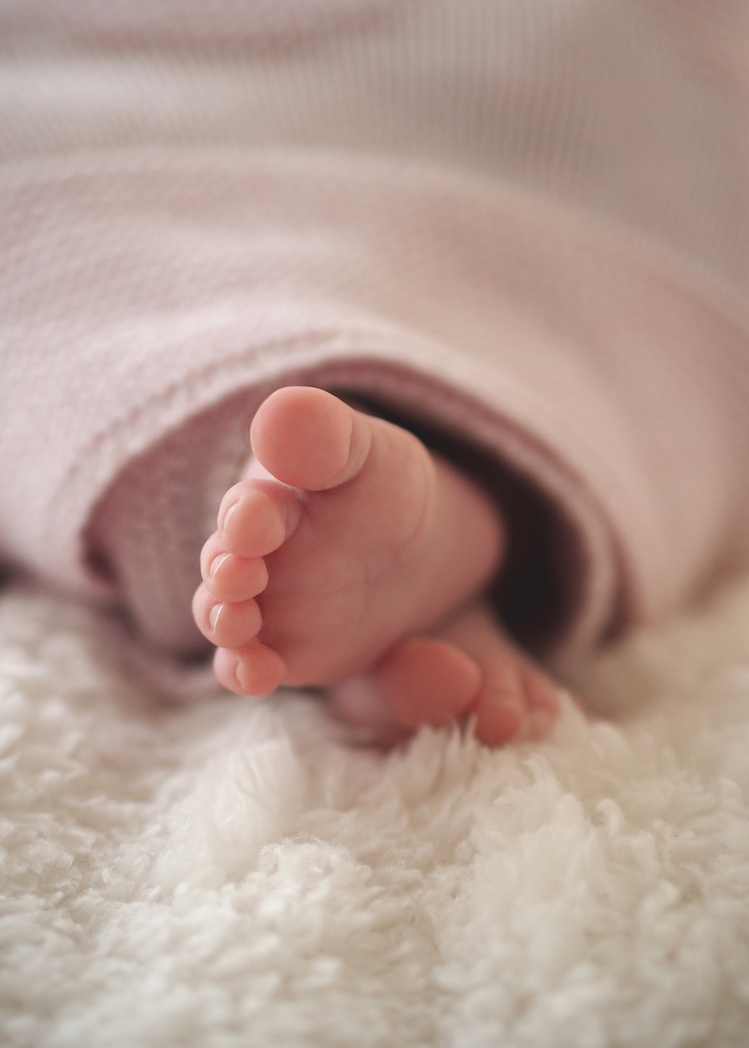  Im Jahr 2021 sind 263 Kinder geboren worden (Foto: pixabay) 