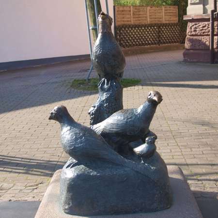 Tauben-Brunnen in St. Ilgen