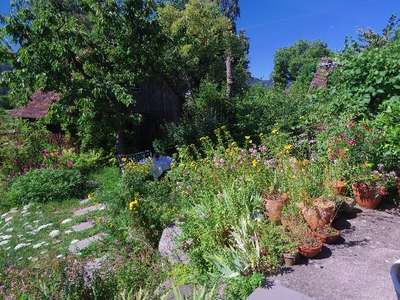 Pflegeleichte Gärten ohne Schotter