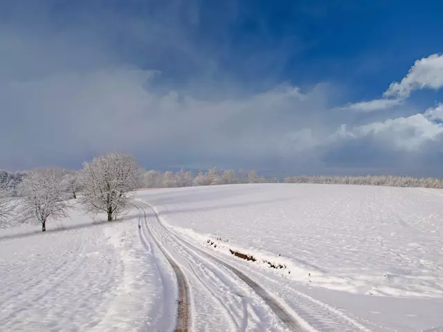 Winter in Gauangelloch